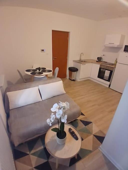 Appartement F1 Orchidee Мюлуз Екстериор снимка
